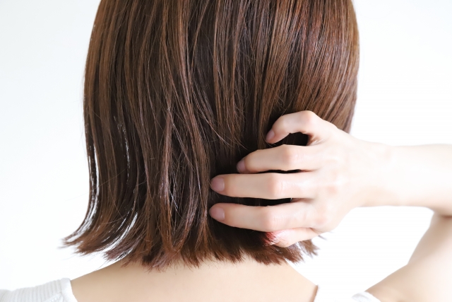 季節で髪質が変わる？その不思議と優しく寄り添うケア